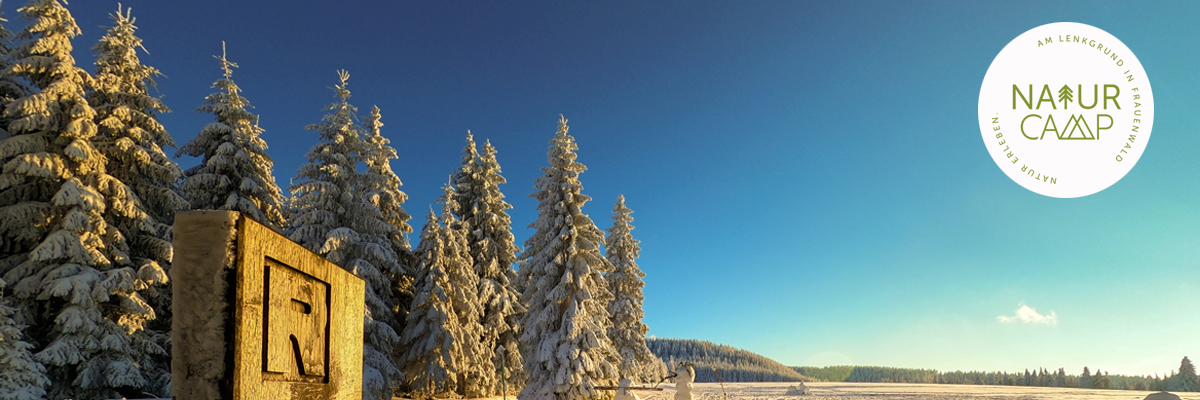 Header-Naturcamp